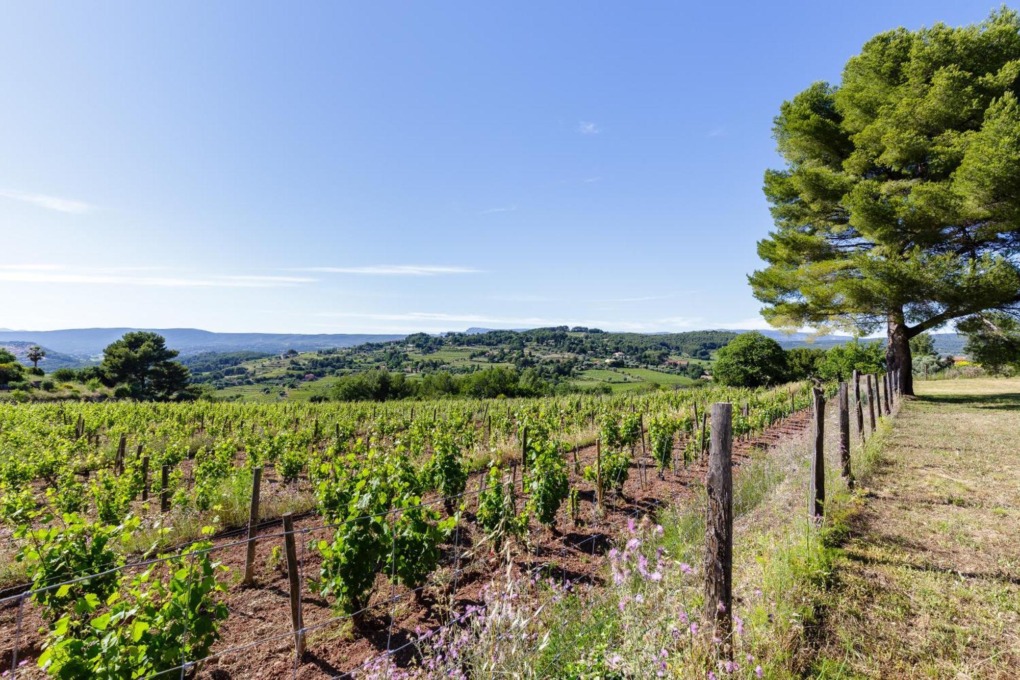 Lodges Park Castellet Provence - Gites Dans Les Vignes Aoc Bandol A 15 Min Des Plages Et Du Circuit Paul Ricard F1 ル・ボーセ 部屋 写真