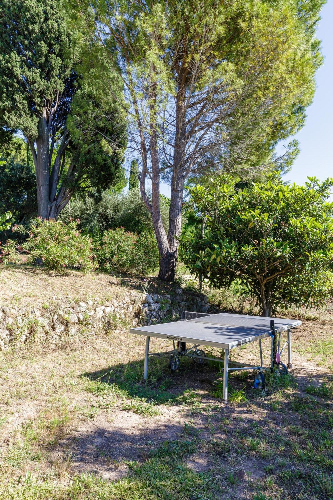 Lodges Park Castellet Provence - Gites Dans Les Vignes Aoc Bandol A 15 Min Des Plages Et Du Circuit Paul Ricard F1 ル・ボーセ 部屋 写真